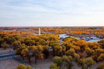 IMG_1572.jpg