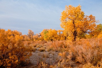 IMG_1579.jpg