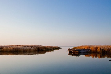 IMG_1315.jpg