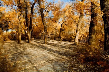 IMG_1607.jpg