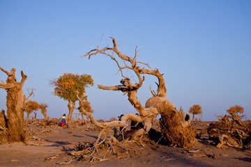 IMG_1516.jpg