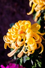 IMG_1690.jpg
