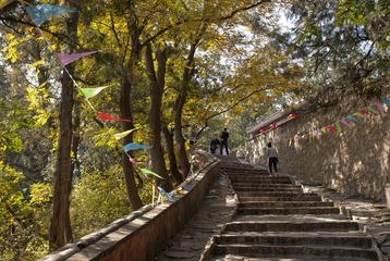 加油