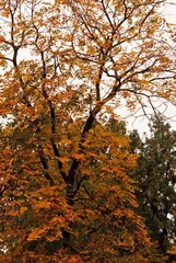 nEO_IMG__DSC0062