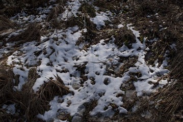 _DSC0119