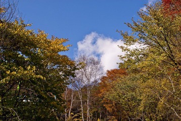 _DSC0061