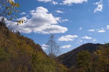 雲且留住