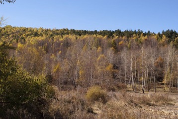 _DSC0018