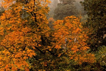 _DSC0068
