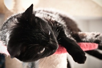 _DSC0016