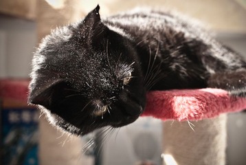 _DSC0019