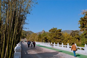 山下