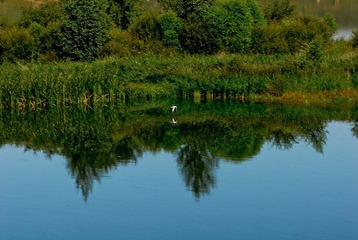 _DSC0094