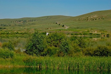 _DSC0099