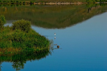 _DSC0101