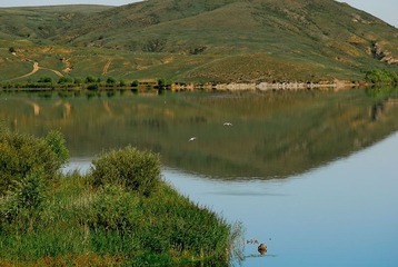 _DSC0105