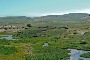 _DSC0107