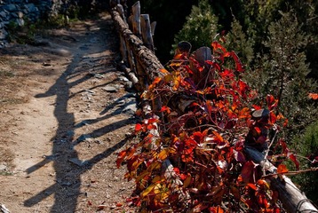 _DSC0033