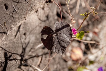 _DSC0056