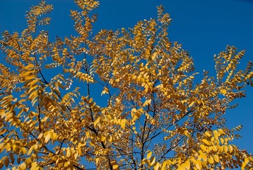 _DSC0001