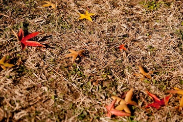 _DSC0016