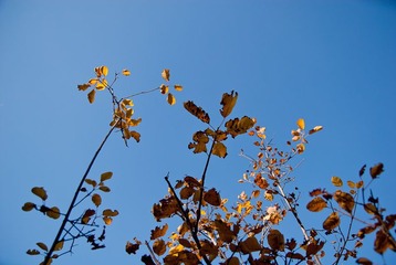 _DSC0022