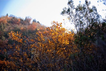 _DSC0024