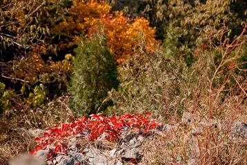_DSC0028