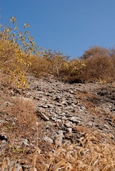 _DSC0052
