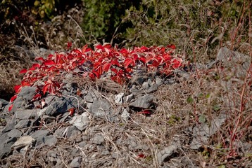 _DSC0027