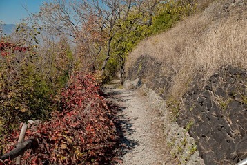 _DSC0030