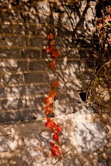 _DSC0062