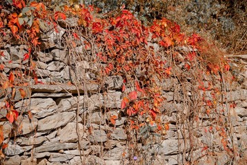_DSC0066