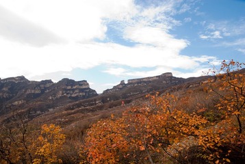 _DSC0090