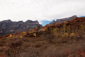 _DSC0045