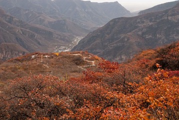 _DSC0077