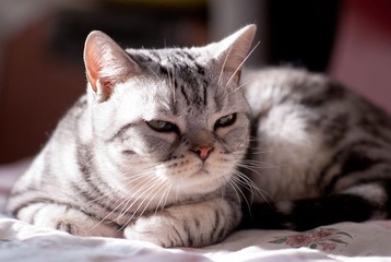 _DSC0043