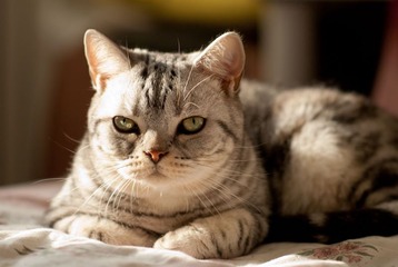_DSC0044