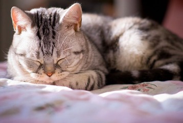 _DSC0050
