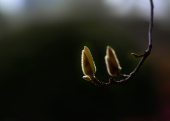 B7CA08E7-35FB-484D-B536-D4ABD9A3A891/L0/001