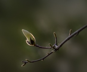 ED9C970D-F171-42A9-BE1C-9369E24F99E2/L0/001