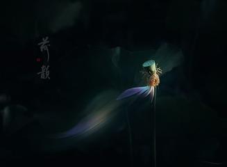 F70B6047-027F-4F76-9C7E-C583B080FF36/L0/001