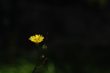1404066