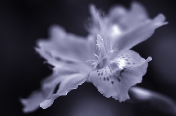 101070