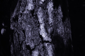 101074