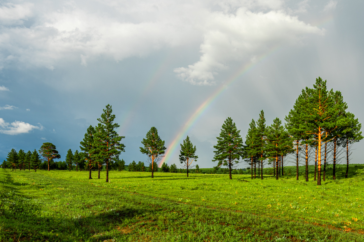 呼伦贝尔大草原上的彩虹