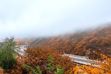 DSC_2988-编辑