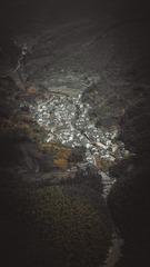 DJI_0449