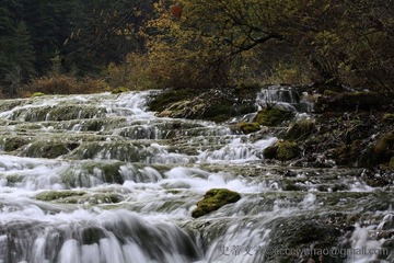 20101107-_MG_0929