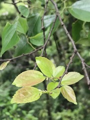 A2B78A74-FF50-48E5-A8FE-C0F7130BA630/L0/001